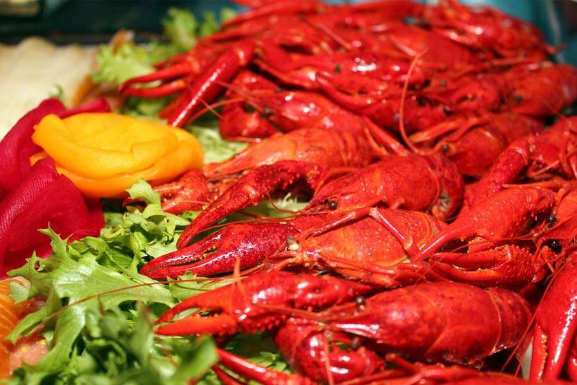 seafood disurabaya
