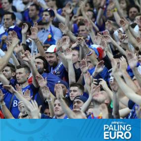  home-euro-supporter