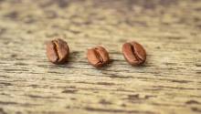 butir kopi