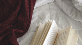 reading novel